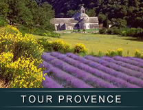 GP Limousine : Tour Provence